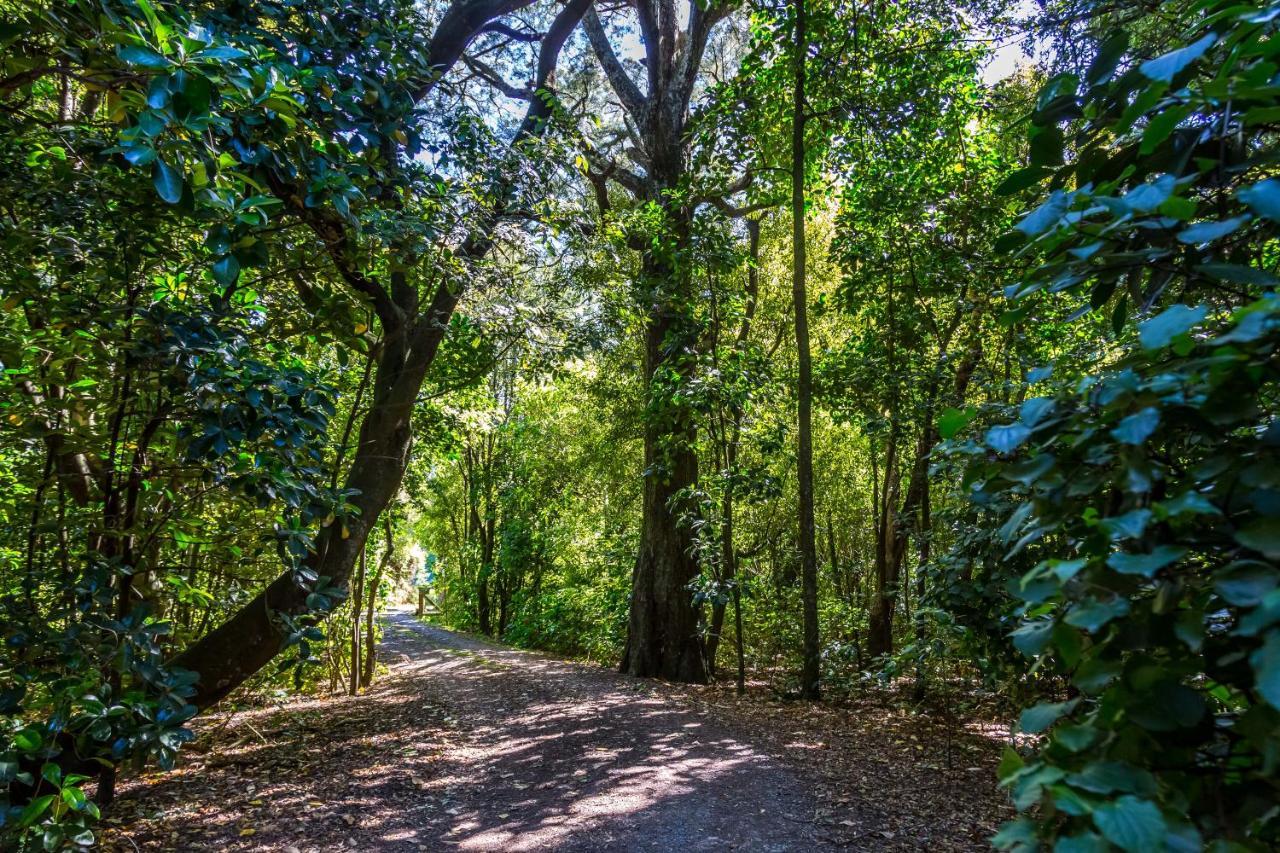 The Forest House Pirinoa Εξωτερικό φωτογραφία